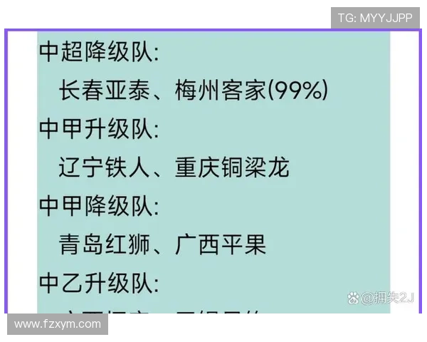 中超中甲取消升降（中超取消升降级是哪年）世界杯体育论坛